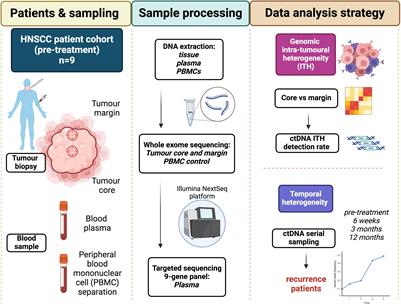 Circulating tumour DNA detects somatic variants contributing to spatial and temporal intra-tumoural heterogeneity in head and neck squamous cell carcinoma